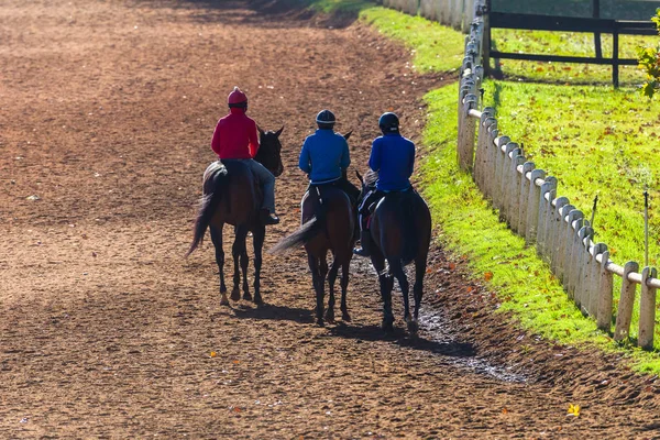 Race Horses Riders Ride Animals Dirt Path — Stock Photo, Image