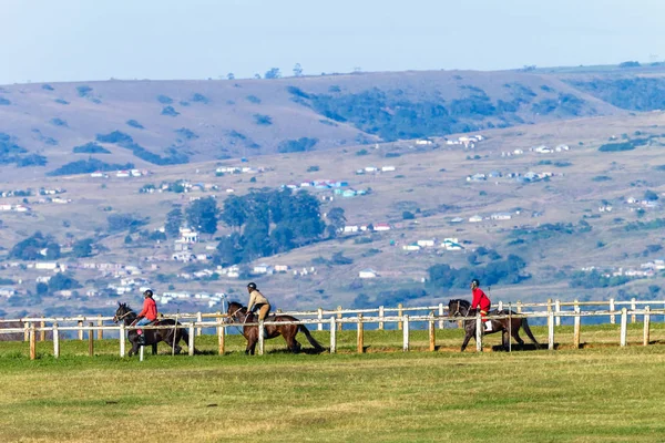 Race Horses Riders Exercising Training Landscape — Stock Photo, Image