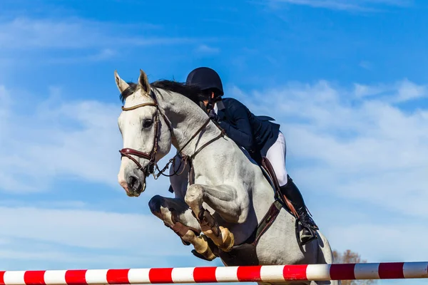 Horse Rider Jumping Pole Closeup Action — Stock Photo, Image