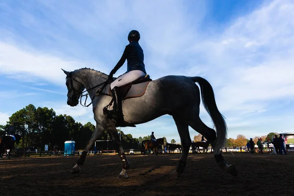 Show Jumping Horses Riders Silhouetted Warmup — Stock Photo, Image