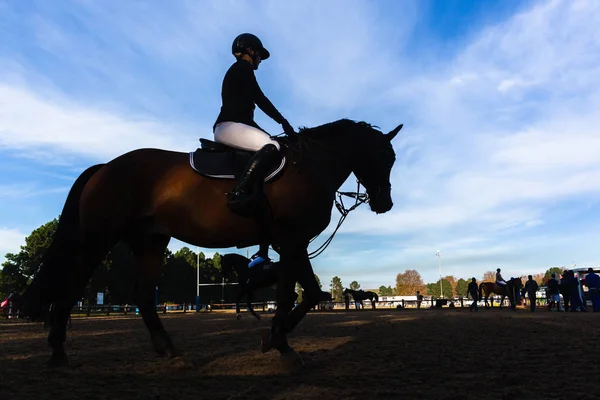 Show Jumping Horses Riders Silhouetted Warmup — Stock Photo, Image