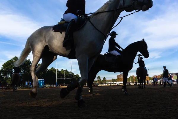 Show Jumping Horses Riders Silhouetted Warmup — Stock Photo, Image