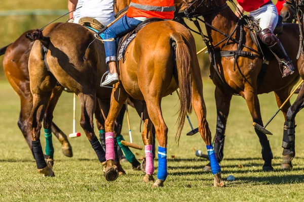 Atlar Polo Oyuncular Bunched Alan Özet — Stok fotoğraf