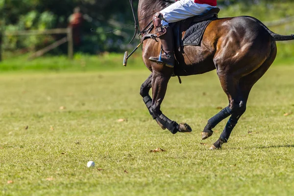 Cavallo Polo Giocatore Astratto Primo Piano Azione — Foto Stock