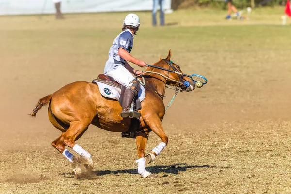 Polocrosse Game Closeup Action — Stock Photo, Image