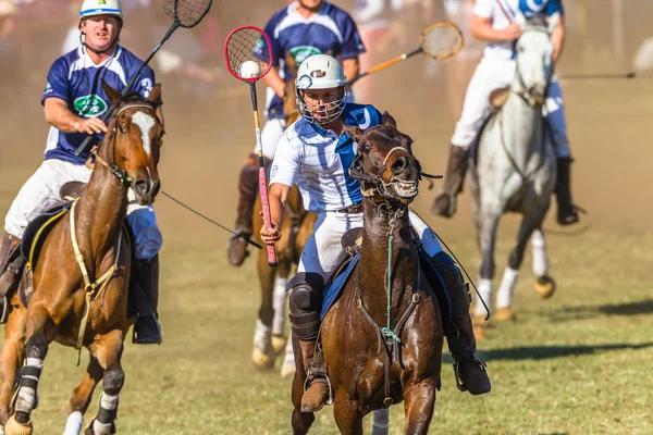 Cavalo Pulando Pólos Closeup Desfocado Cavaleiro Não Identificado