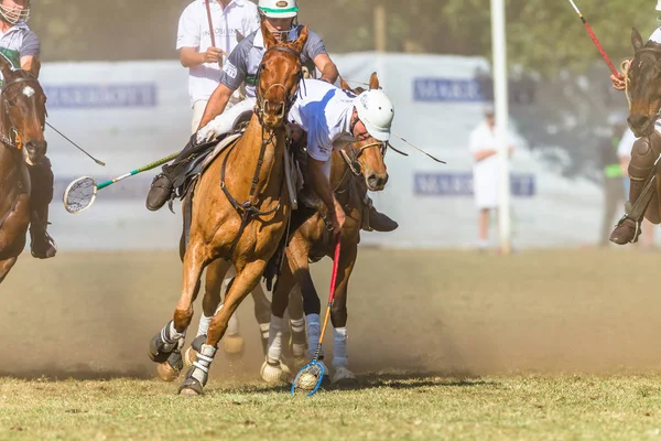 Equestrian Polocrosse Game Closeup Action — Stock Photo, Image