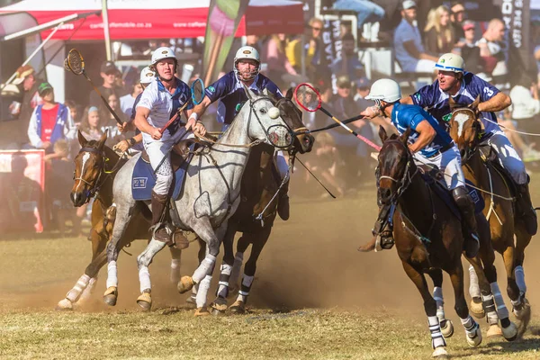 Binicilik Polocrosse Oyunu Closeup Eylem — Stok fotoğraf