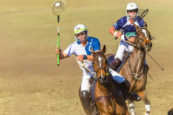 Polocrosse Spiel Nahaufnahme Aktion — Stockfoto