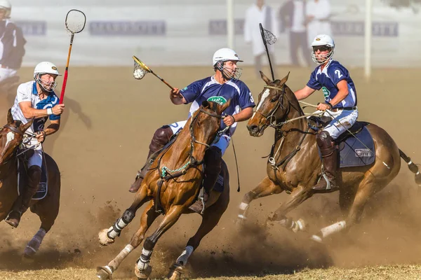 Polocrosse Game Closeup Action — Stock Photo, Image