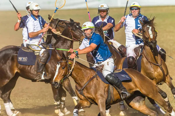Polocrosse Game Closeup Action — Stock Photo, Image