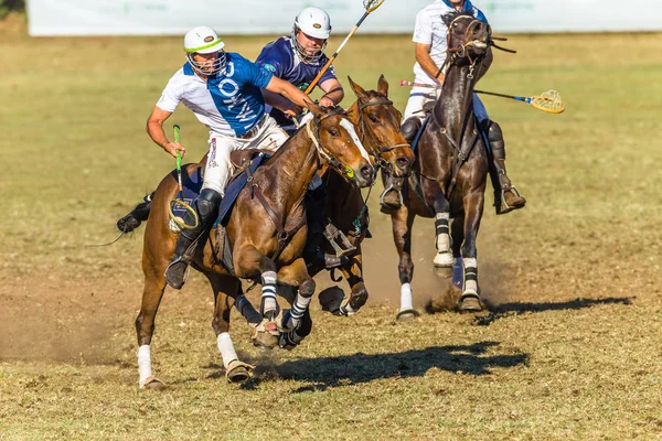 Jeździectwo Polocrosse gra zbliżenie akcja — Zdjęcie stockowe
