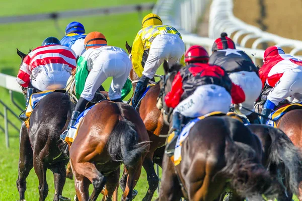 Paardenrennen finale rechte achterzijde actie — Stockfoto