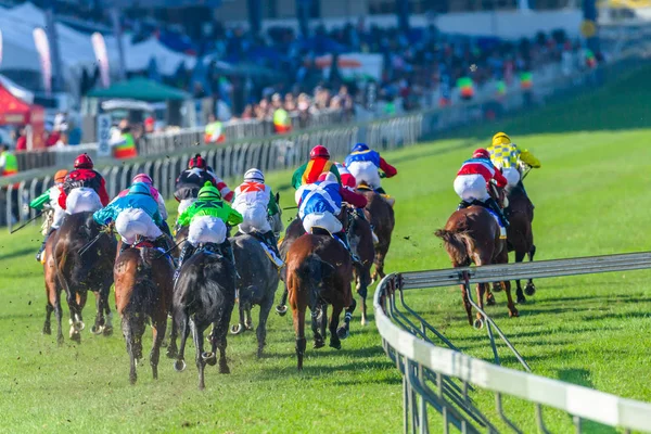 Horse Racing Final Straight Rear Action — Stock Photo, Image