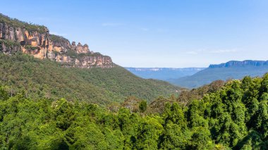 Mavi Dağlar Ağaçlar Vadisi Manzara