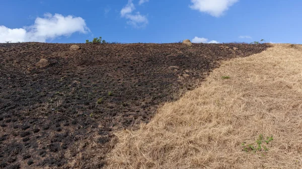火の半分が燃焼し 半分が乾燥した草が青い空の雲と対照的に草盛土の丘を焼きました抽象的なパノラマ風景 — ストック写真