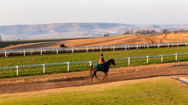 Race Horse Jockey Rider Training Tracks Early Scenic Outdoors Equestrian — Stock Photo, Image