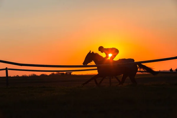Rennpferd Jockey Fahrer Trainiert Früh Eine Landschaftlich Reizvolle Landschaft Freien — Stockfoto