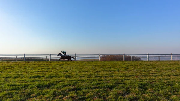 Corsa Cavallo Fantino Piste Allenamento Presto Paesaggio Panoramico All Aperto — Foto Stock