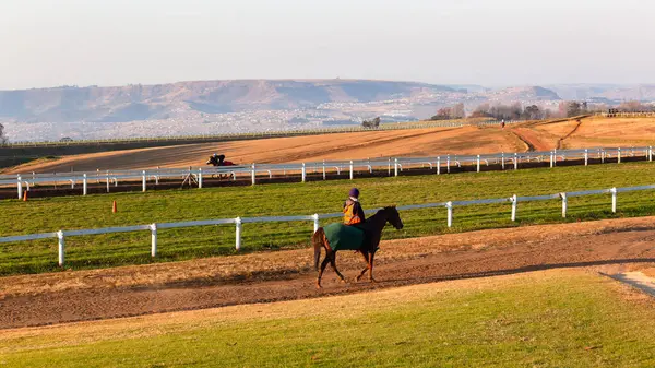 Rennpferd Jockey Fahrer Trainiert Früh Eine Landschaftlich Reizvolle Landschaft Freien — Stockfoto
