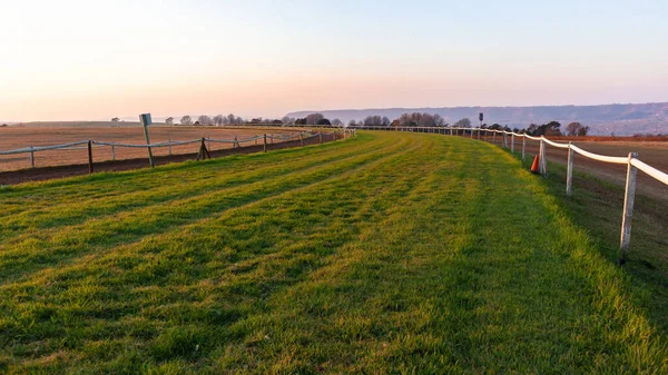 Corsa Cavallo Equestre Formazione Erba Sabbia Tracce Paesaggio Panoramico All — Foto Stock