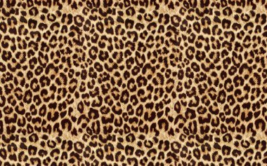 flower pattern animal skin leopard tiger zebra gold gold chain background texture plaid geometric pattern black white leaf palm leaf color wallpaper jeans texture stone illistration pam tropical leafs clipart