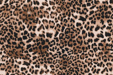 çiçek desenli hayvan derisi leopar derisi zebra altın zincir arka plan desen ekose geometrik desen siyah beyaz yaprak palmiye yaprağı renk duvar kâğıdı kot kumaş taş illistasyon Pam tropikal yapraklar