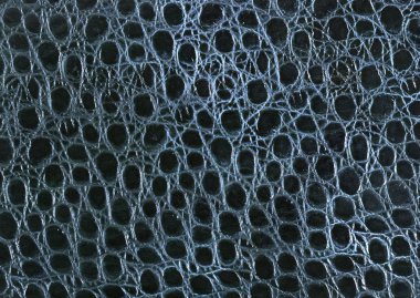 çiçek desenli hayvan derisi leopar derisi zebra altın zincir arka plan desen ekose geometrik desen siyah beyaz yaprak palmiye yaprağı renk duvar kâğıdı kot kumaş taş illistasyon Pam tropikal yapraklar