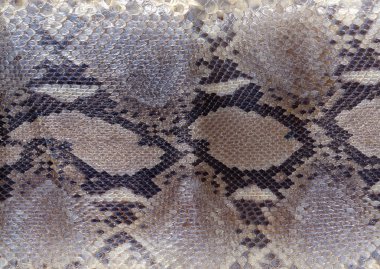 çiçek desenli hayvan derisi leopar derisi zebra altın zincir arka plan desen ekose geometrik desen siyah beyaz yaprak palmiye yaprağı renk duvar kâğıdı kot kumaş taş illistasyon Pam tropikal yapraklar