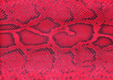 çiçek desenli hayvan derisi leopar derisi zebra altın zincir arka plan desen ekose geometrik desen siyah beyaz yaprak palmiye yaprağı renk duvar kâğıdı kot kumaş taş illistasyon Pam tropikal yapraklar