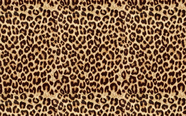 Flower Pattern Animal Skin Leopard Tiger Zebra Gold Gold Chain — Stock Photo, Image