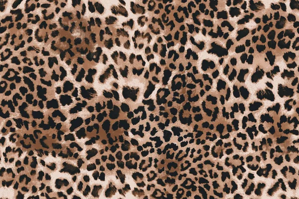 Fiore Modello Animale Pelle Leopardo Tigre Zebra Oro Catena Fondo — Foto Stock