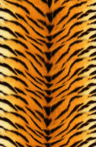 Motif Fleur Peau Animale Léopard Tigre Zèbre Chaîne Fond Texture — Photo