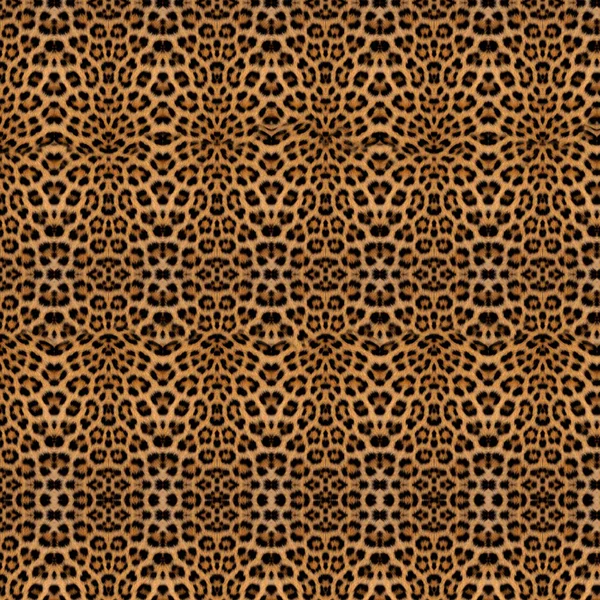 çiçek desenli hayvan derisi leopar derisi zebra altın zincir arka plan desen ekose geometrik desen siyah beyaz yaprak palmiye yaprağı renk duvar kâğıdı kot kumaş taş illistasyon Pam tropikal yapraklar