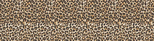 çiçek desenli hayvan derisi leopar derisi zebra altın zincir arka plan desen ekose geometrik desen siyah beyaz yaprak palmiye yaprağı renk duvar kâğıdı kot kumaş taş illistasyon Pam tropikal yapraklar
