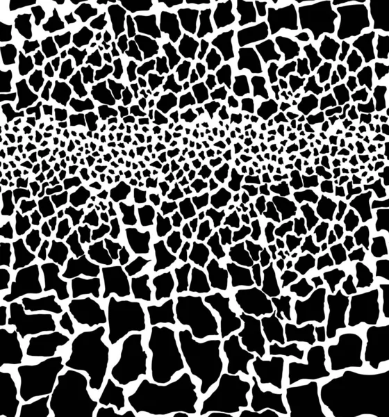 çiçek desenli hayvan derisi leopar derisi zebra altın zincir arka plan desen ekose geometrik desen siyah beyaz yaprak palmiye yaprağı renk duvar kâğıdı kot kumaş taş illistasyon Pam tropikal yapraklar
