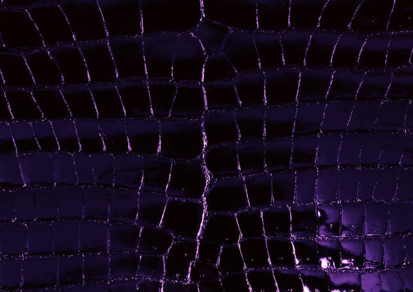 Цветочный узор кожи животных леопард тигр зебра золото цепочка фон текстура клетчатый геометрический узор черный белый лист пальмового листа цвета джинсы текстурный камень Иллюстрация Пэм тропические листья
