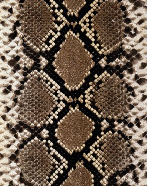 çiçek desenli hayvan derisi leopar derisi zebra altın zincir arka plan desen ekose geometrik desen siyah beyaz yaprak palmiye yaprağı renk duvar kâğıdı kot kumaş taş illistasyon Pam tropikal yapraklar