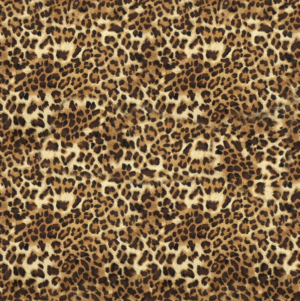 çiçek desenli hayvan derisi leopar derisi zebra altın zincir arka plan desen ekose geometrik desen siyah beyaz yaprak palmiye yaprağı renk duvar kâğıdı kot kumaş taş illistasyon Pam tropikal yapraklar