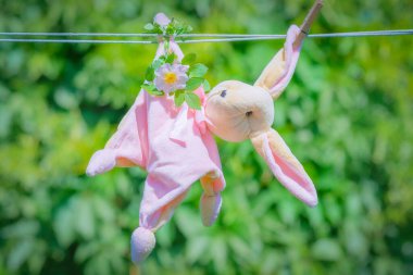 Çamaşır ipinde asılı beyaz bir gül çiçekli yumuşak bir oyuncak pembe tavşan. Seçici odak