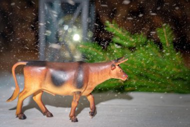 2021 'in sembolü olan boğa, mavi arka planda, antik bir lambanın arka planında, ladin dallarında,