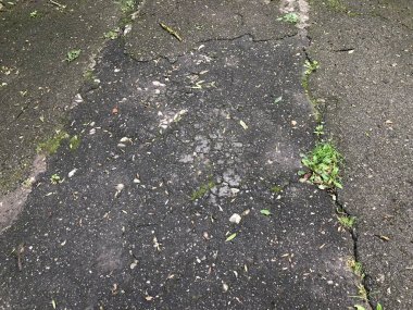 Perspektif görünümü monoton gri tuğla taş kaldırımda sokak yol için zemin. Kaldırım, Driveway, döşeme, yeşil çim