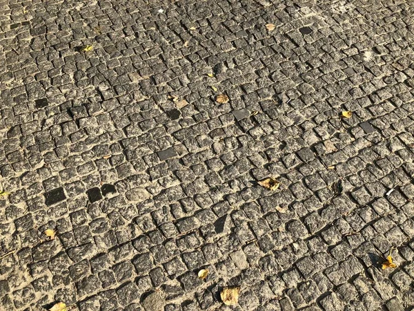 パースペクティブ ビュー単調な灰色のレンガ石舗装通りの道路のための地面 歩道舗装 緑の草 — ストック写真