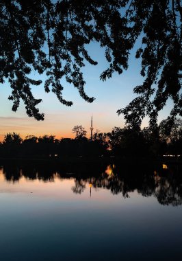 Toronto üzerinde gün batımı CN Kulesi, ufuk çizgisi ve altın akşam ışığı ile.