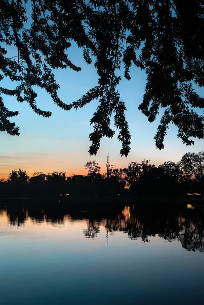Toronto üzerinde gün batımı CN Kulesi, ufuk çizgisi ve altın akşam ışığı ile.