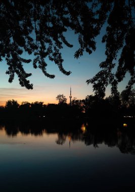 Toronto üzerinde gün batımı CN Kulesi, ufuk çizgisi ve altın akşam ışığı ile.