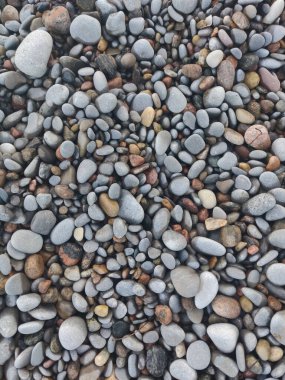 Canlı sokaklar ve renkli yaşam ve modern ufuk çizgisi ile Toronto kentsel manzarası.