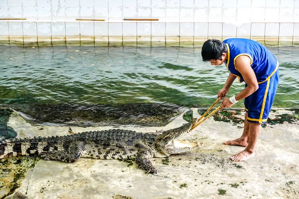 2017 Nakhon Pathom Thailand Oct Crocodile Show Man Exciting Dangerous — 스톡 사진