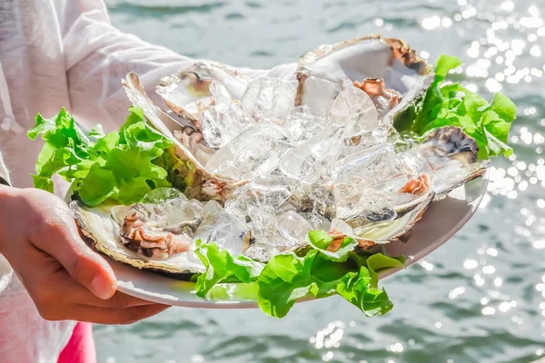 Fresh Oysters Ice Served Lime Grilled Onion Women Hands Seafood — Stock Photo, Image