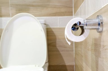 Tuvalet kağıdı tutacağında asılı beyaz tuvalet kağıdı rulosu.